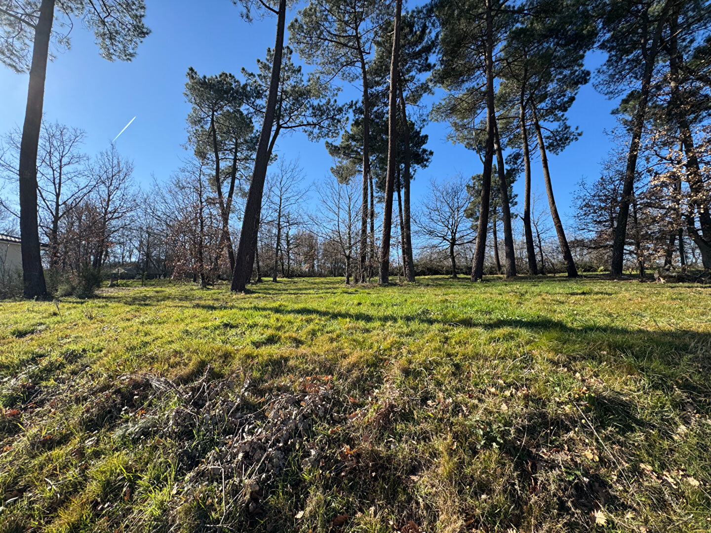 A VENDRE PROCHE AUTERIVE: TERRAIN DE 973 M2 VIABILISE, LIBRE DE TOUS CONSTRUCTEURS