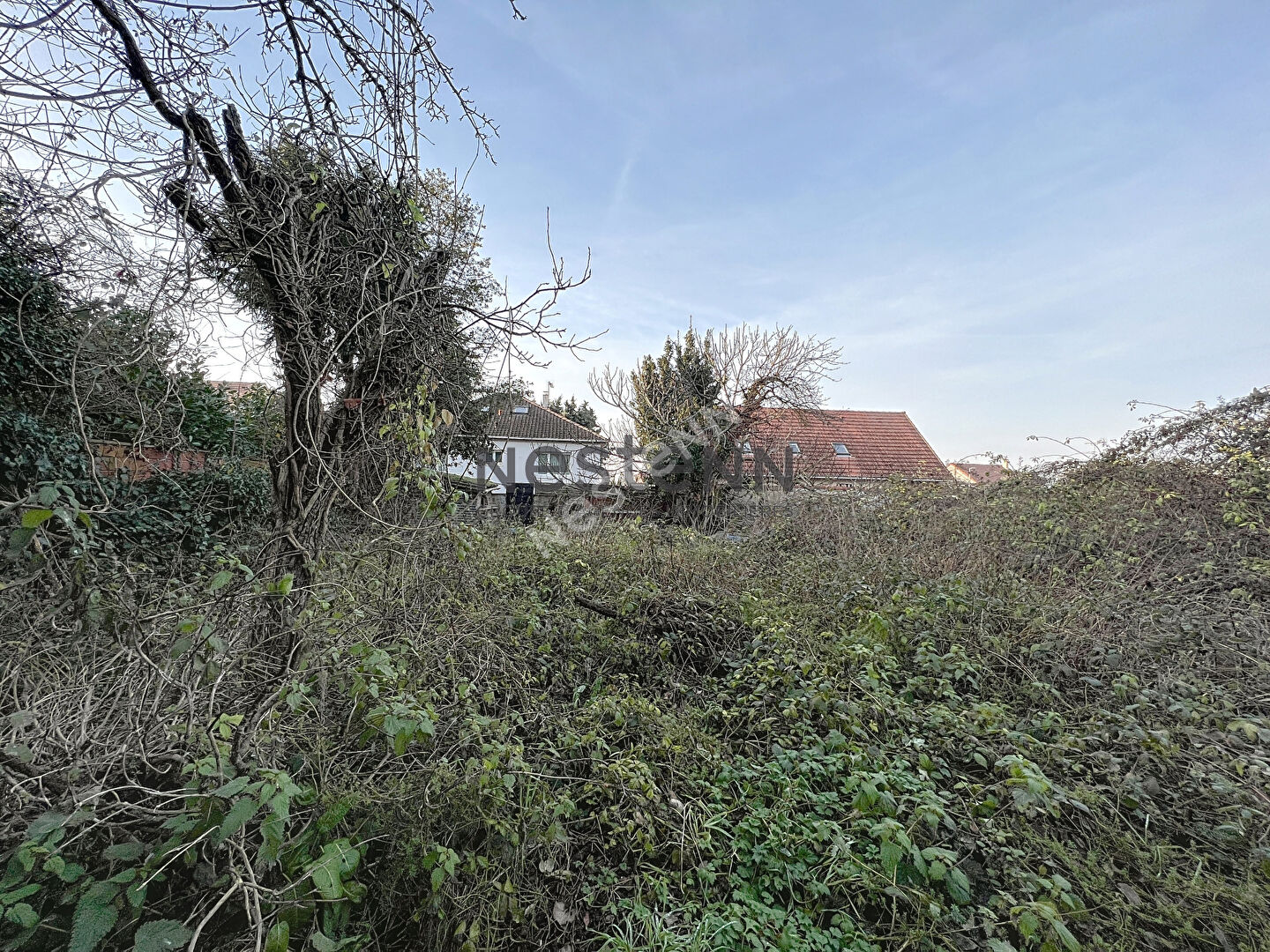Terrain secteur pavillonnaire VALENTON 353m²