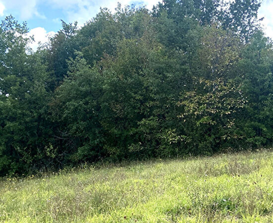 Vente terrain à Bourret (82700)