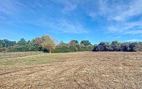 Vente terrain à Beauvais sur tescou (81630)