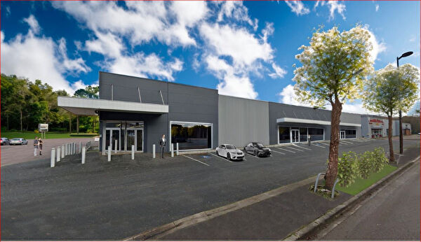 Location local-professionnel à Saint avold (57500)
