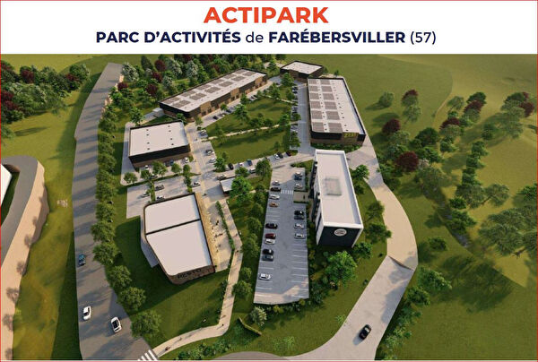 Vente local-professionnel à Phalsbourg (57370)