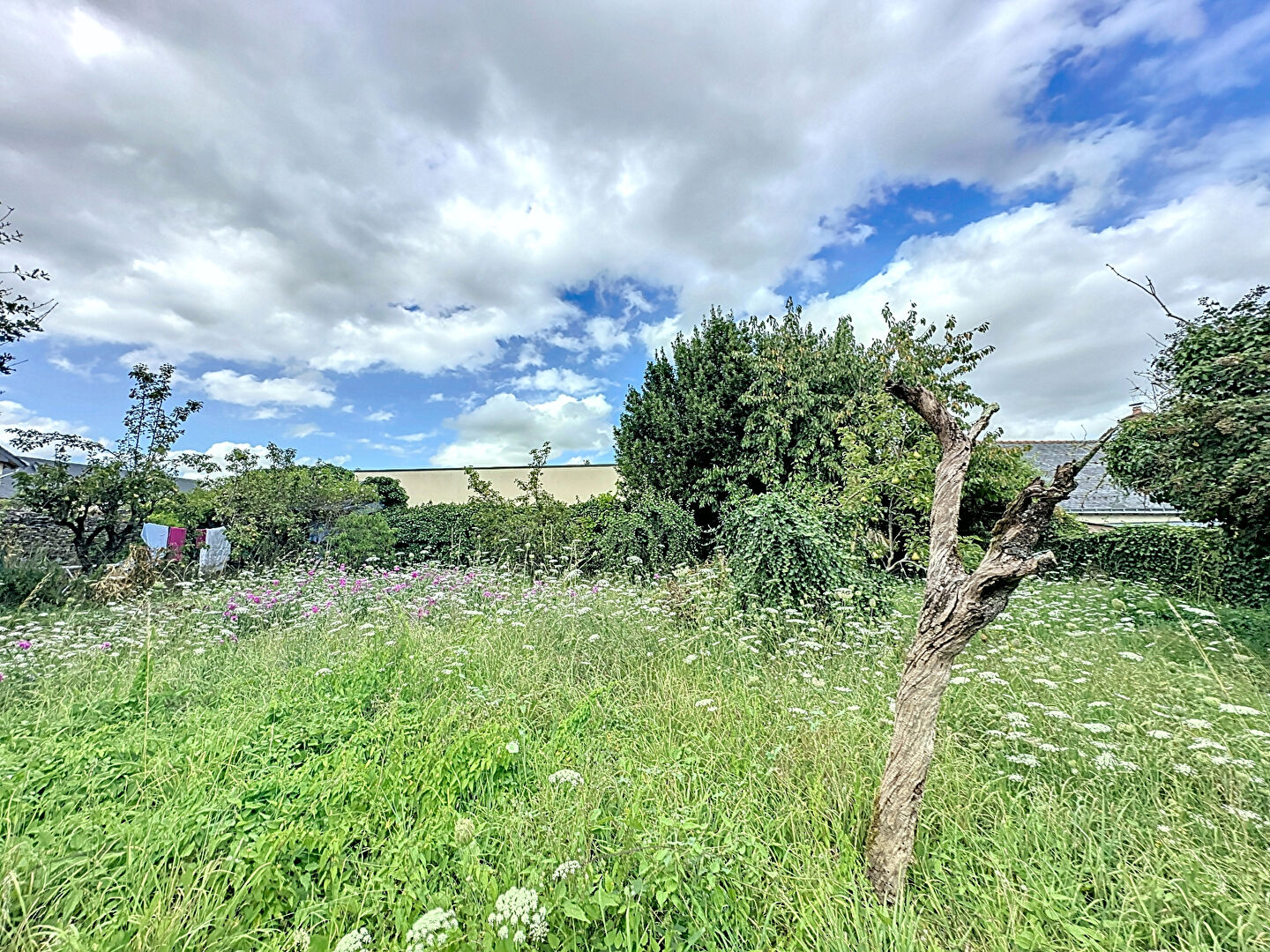 A VENDRE - Maison à rénover dans le bourg de La Jaille Yvon, d'une superficie de 117m2 avec un terrain de plus de 300m2