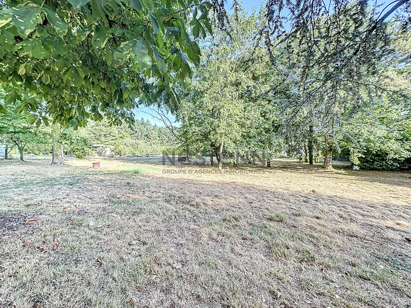 Maison familiale à vendre à Candé - plus de 200m2 - 4 chambres - Terrain de plus de 5500m2