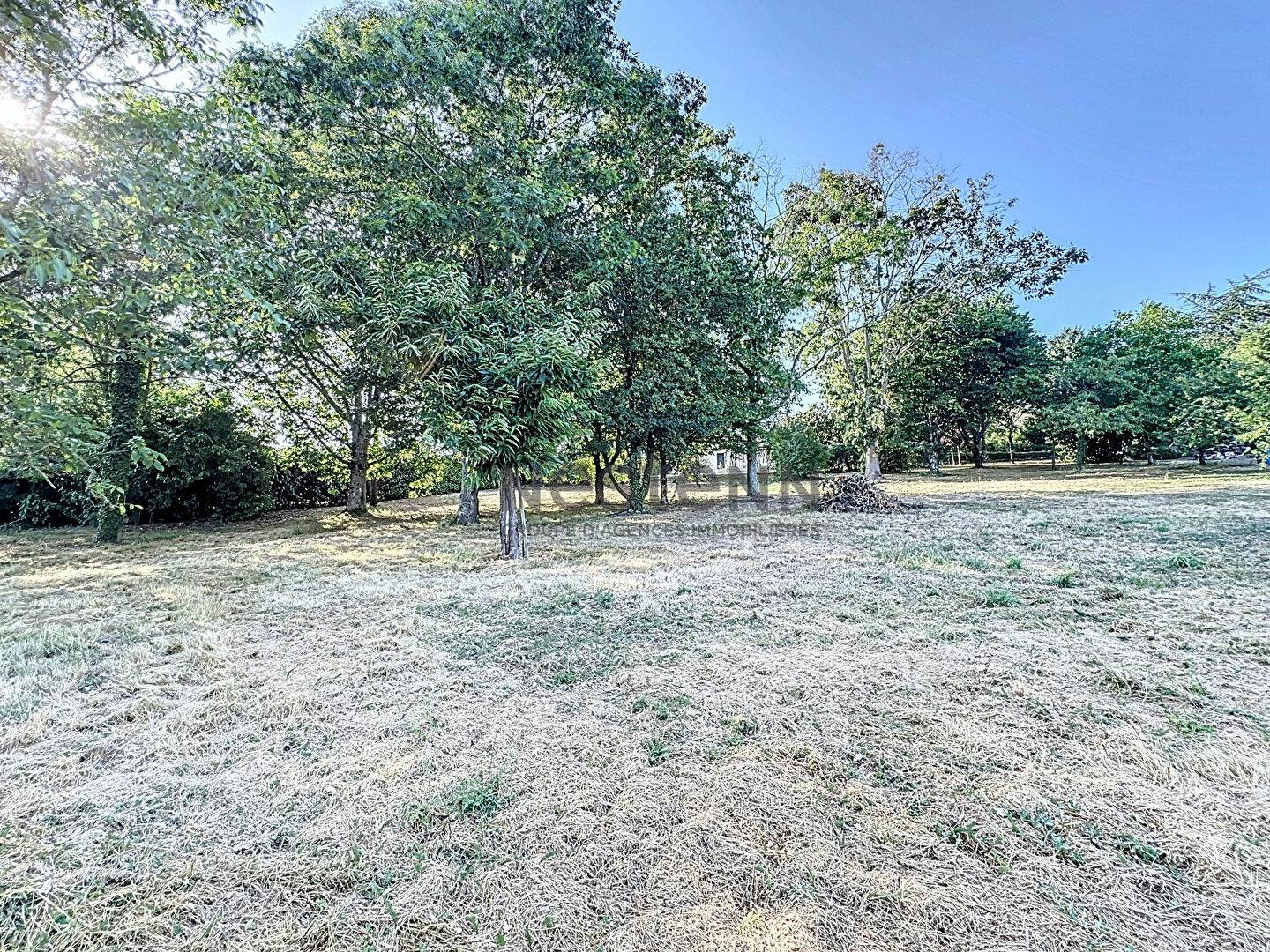Maison familiale à vendre à Candé - plus de 200m2 - 4 chambres - Terrain de plus de 5500m2