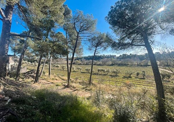 Vente terrain à Rieux minervois (11160)