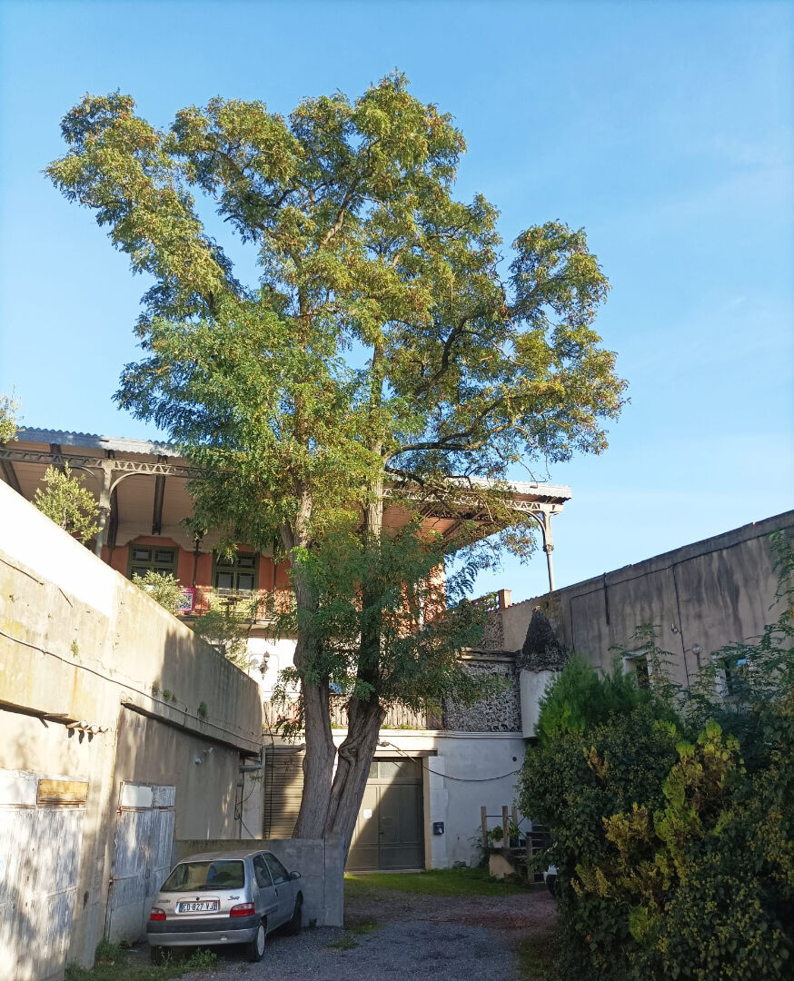 Garage 110 m² à La Trivalle - Idéal stationnement ou stockage sécurisé